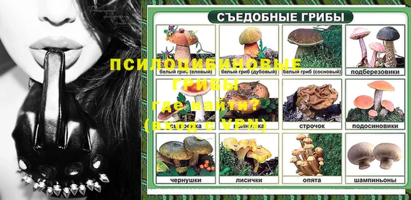 тгк Аркадак