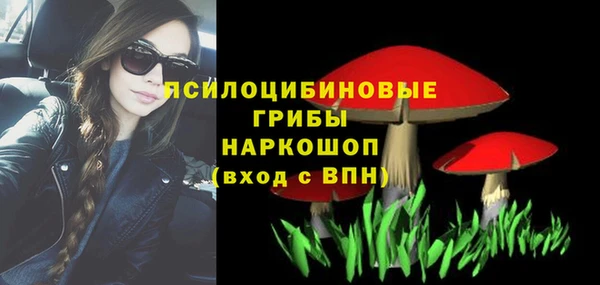 прущая мука Арсеньев