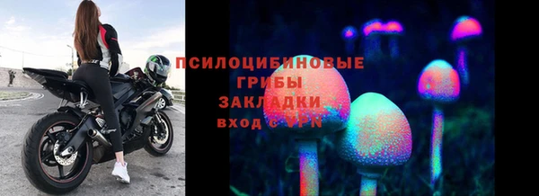тгк Аркадак
